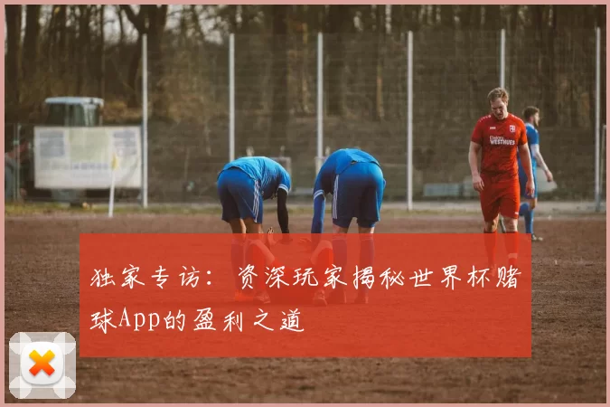 独家专访:资深玩家揭秘世界杯赌球App的盈利之道