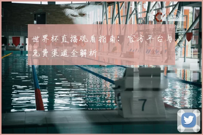 世界杯直播观看指南:官方平台与免费渠道全解析