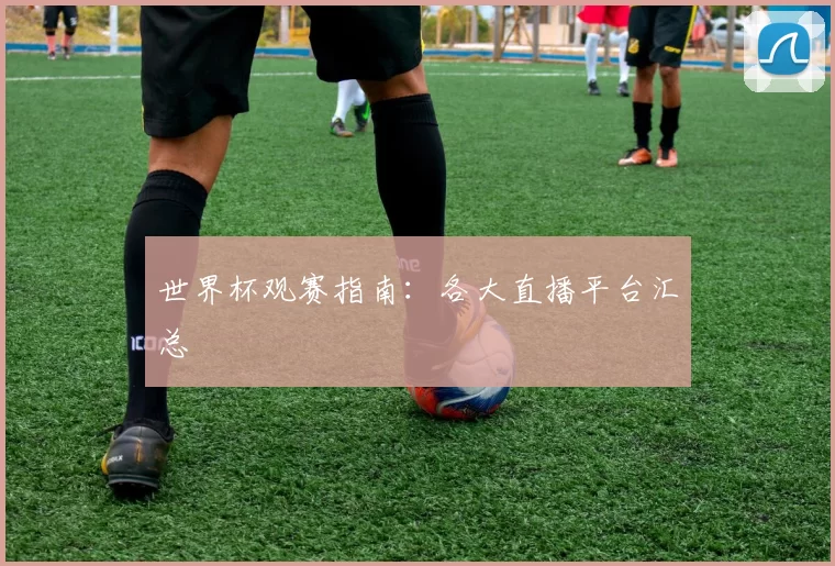 世界杯观赛指南:各大直播平台汇总