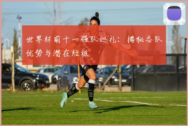 世界杯前十一强队巡礼：揭秘各队优势与潜在短板