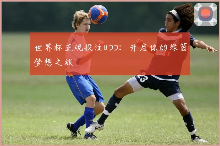 世界杯正规投注app：开启你的绿茵梦想之旅