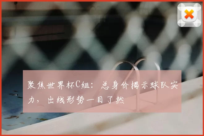 聚焦世界杯C组:总身价揭示球队实力,出线形势一目了然