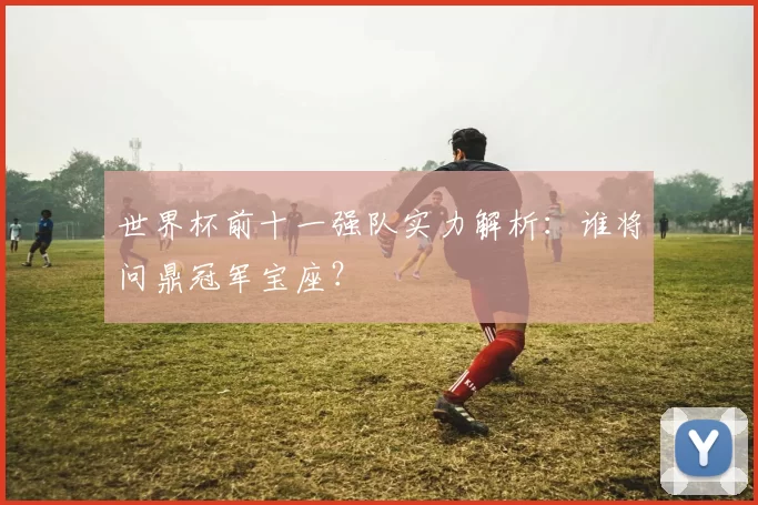 世界杯前十一强队实力解析:谁将问鼎冠军宝座?
