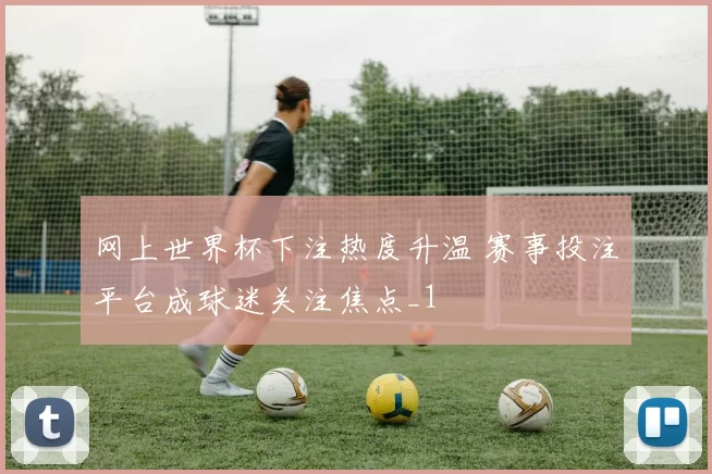 网上世界杯下注热度升温 赛事投注平台成球迷关注焦点_1