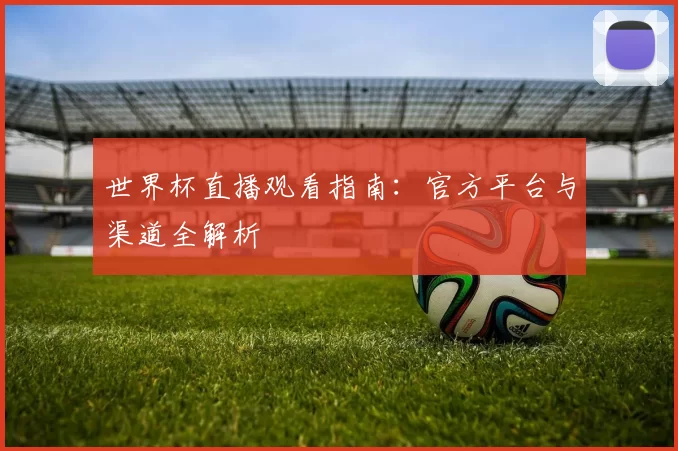 世界杯直播观看指南:官方平台与渠道全解析