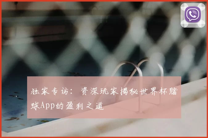 独家专访:资深玩家揭秘世界杯赌球App的盈利之道