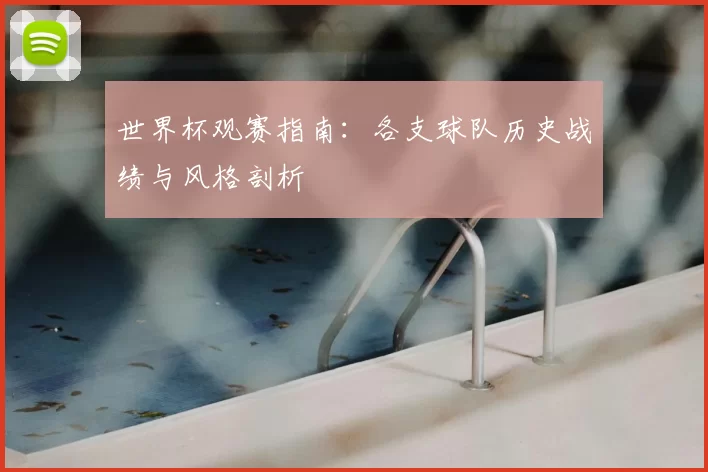 世界杯观赛指南:各支球队历史战绩与风格剖析