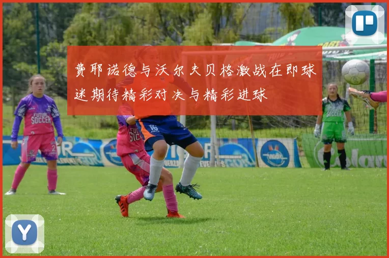 费耶诺德与沃尔夫贝格激战在即球迷期待精彩对决与精彩进球