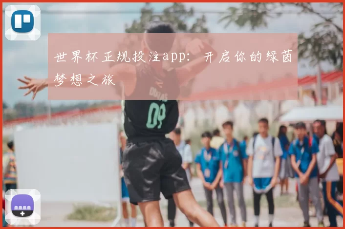 世界杯正规投注app:开启你的绿茵梦想之旅