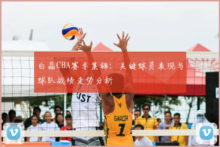 白晶CBA赛季集锦：关键球员表现与球队战绩走势分析